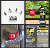 Raid Wasp and Hornet Killer 14oz 2 Pack W/ Bonus Wipes
