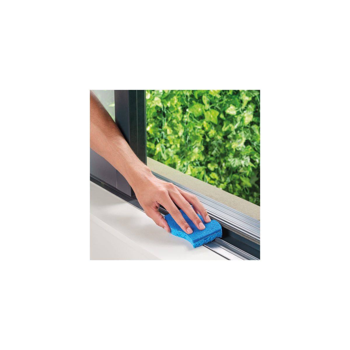 Scotch-Brite Scrub Sponges, Zero Scratch, Blue, 24 ct - product image 4