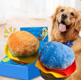 Hot Dog and Hamburger Squeaker 2 Pack Combo Pack Chew Toy for Dogs, Funny Cute Plush Toy (Colors Vary)