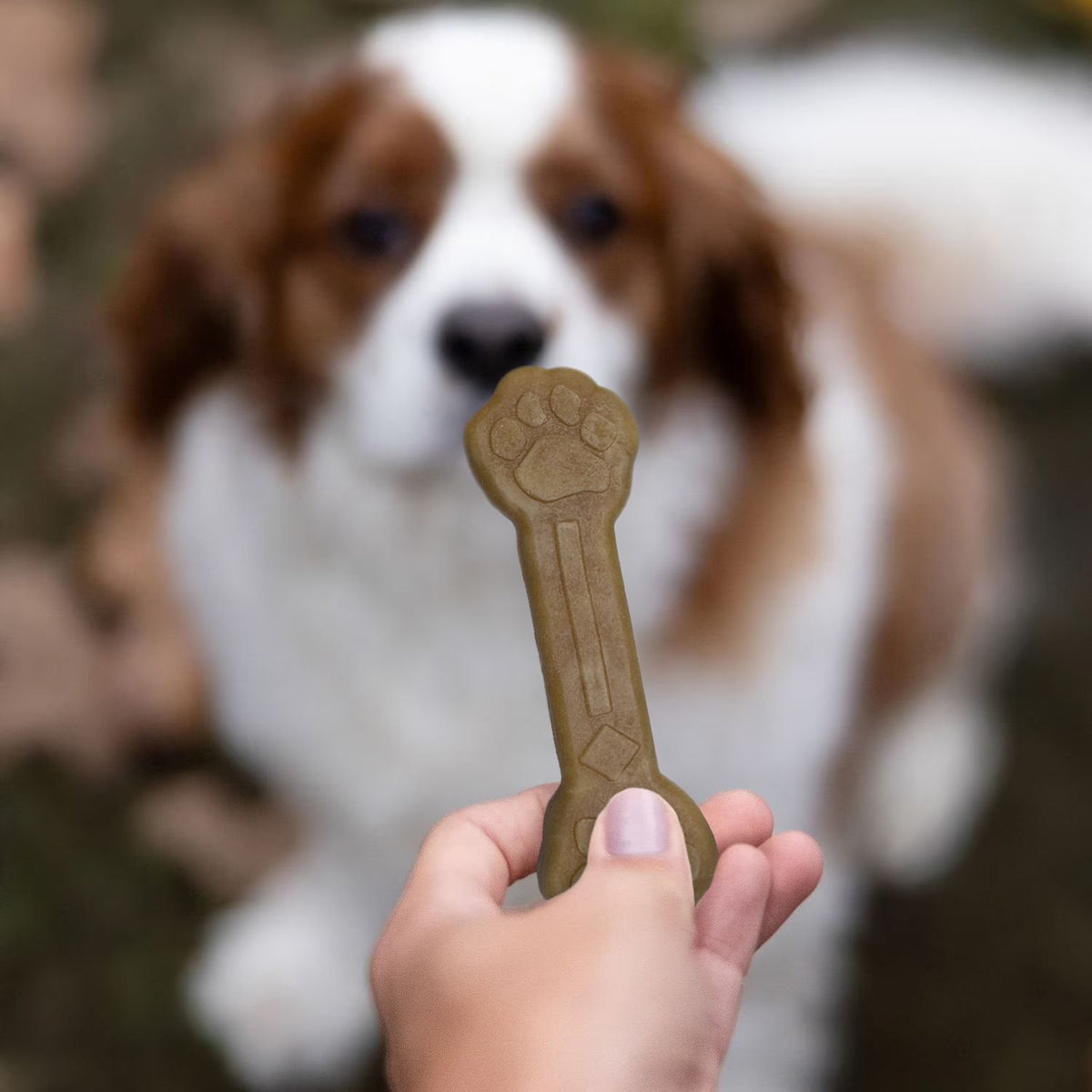 Member's Mark Dental Chew Treats for Dogs, 30 ct.