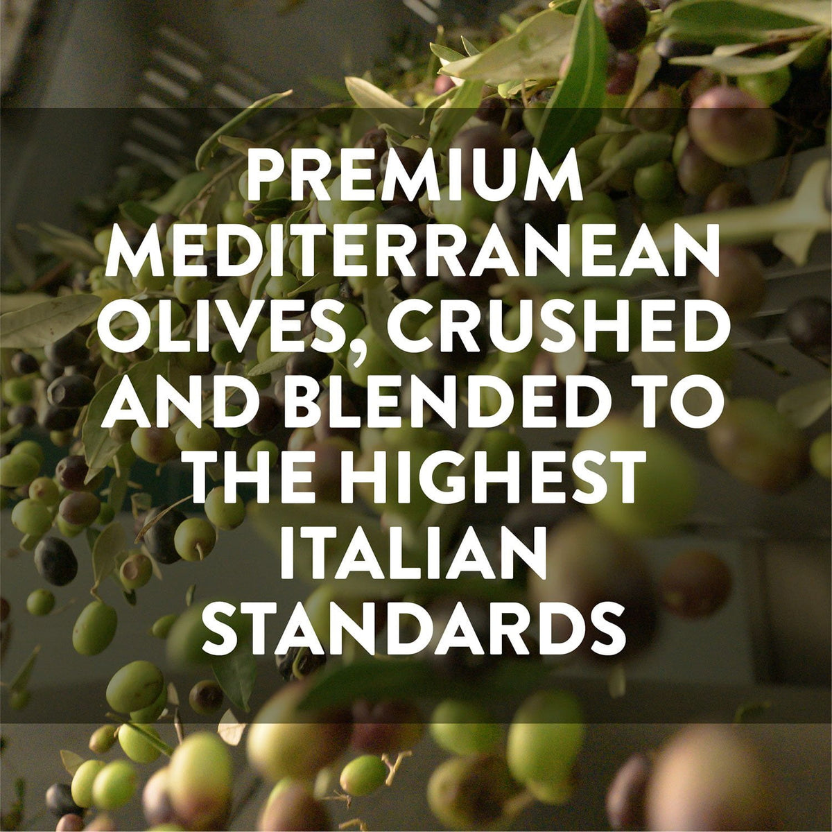 Member's Mark Pure Olive Oil, 101 fl. oz.