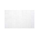 BZK Antiseptic Moist Towelettes (100 Count)