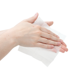 BZK Antiseptic Moist Towelettes (100 Count)