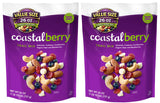 Wild Coastal Berry Trail Mix Root, 100% Natural Almonds, Cashews, Cranberries, Yogurt Chips and Blueberries, Non-GMO, Pack of