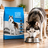 Nature Domain dog food bag beside a husky eating indoors