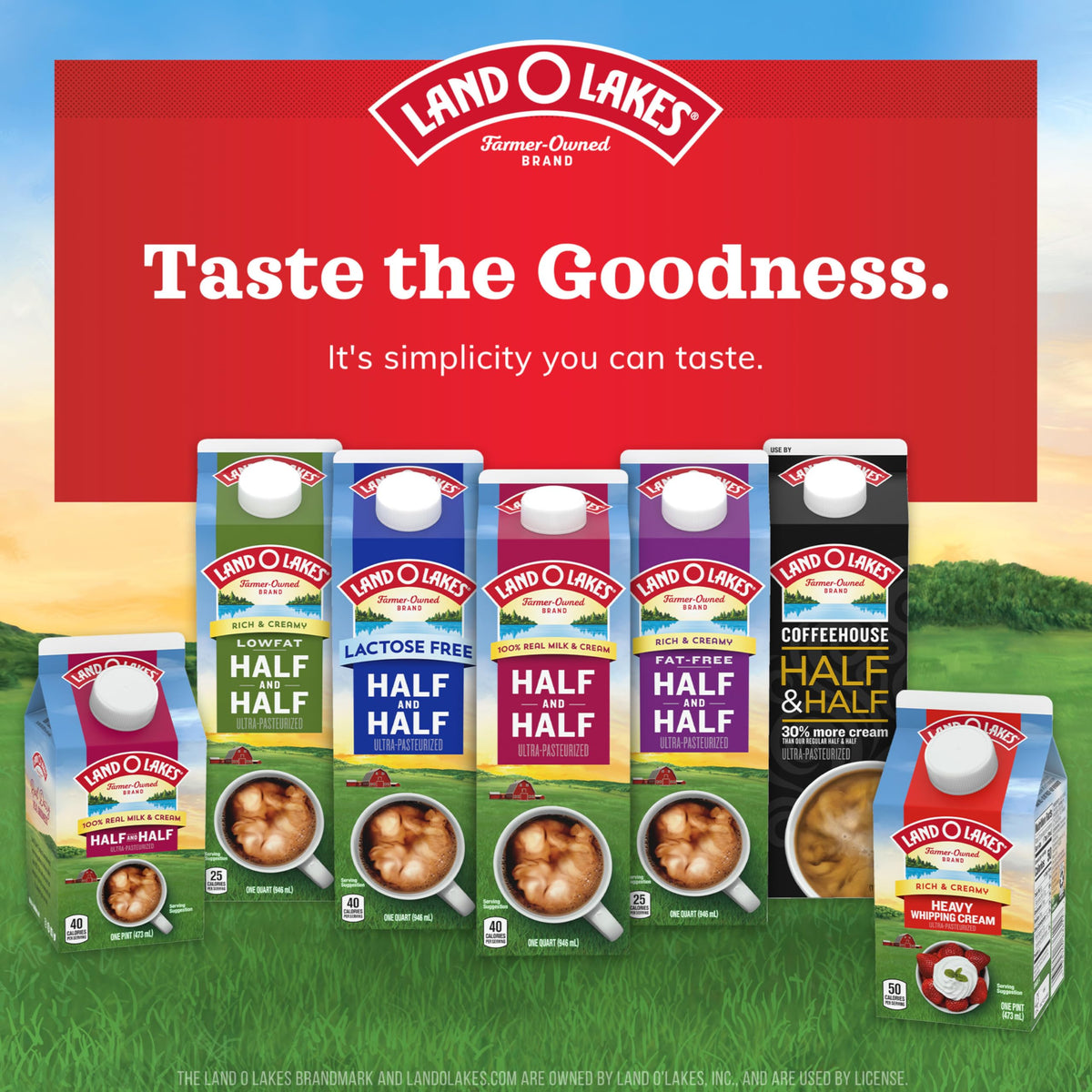 Land O Lakes Mini Moo’s Half & Half Creamer Singles, Shelf-Stable, 192 Count — additional product image 4