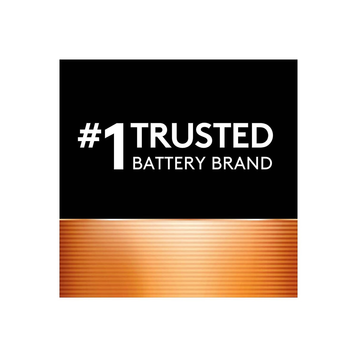 Duracell PGD MN1300 Coppertop Battery, Alkaline, D Size (Pack of 12) — additional product image 4