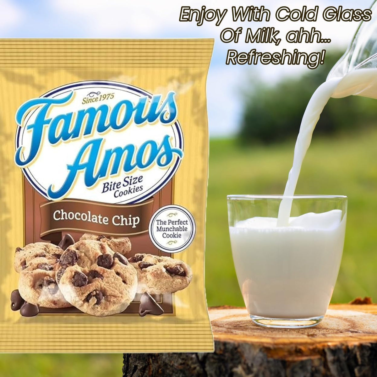 Asherpro Famousamos Chocolate Chip Cookies, Famous Cookies, Chocolate Chips Cookies, Famous Cookies Individual Packs,2 oz.