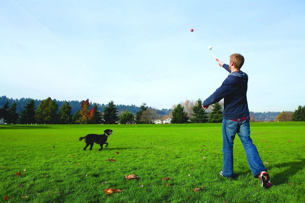 ChuckIt! Ball Launcher W/ Bonus Pack-A-Hatch